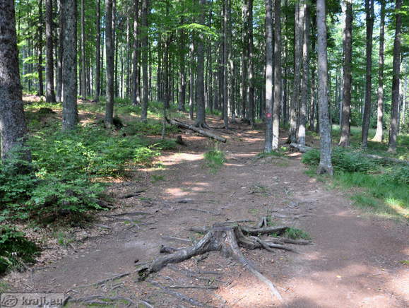 Rundweg zum Ort der letzten Schlacht des Pohorje-Bataillon